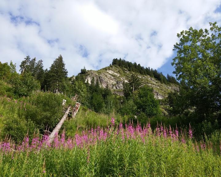 Strausberghütte